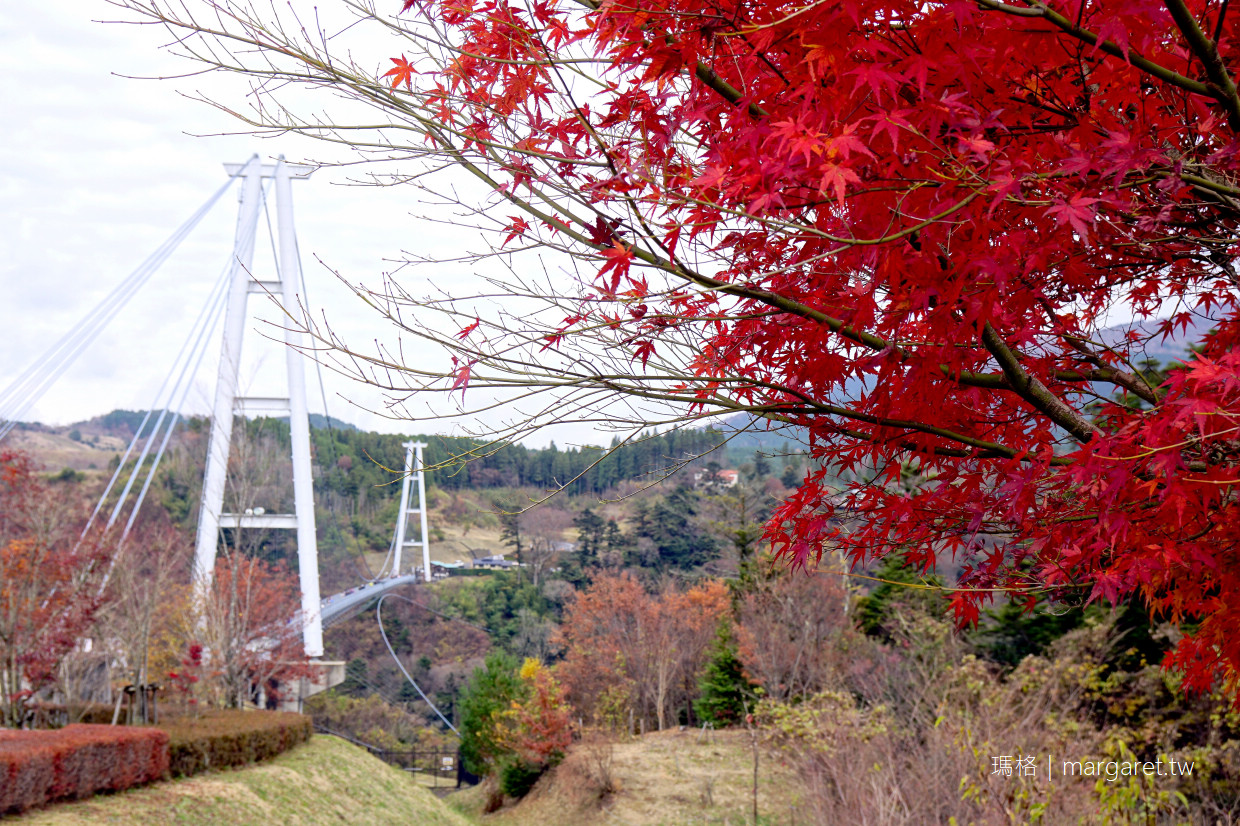 九重”夢”大吊橋