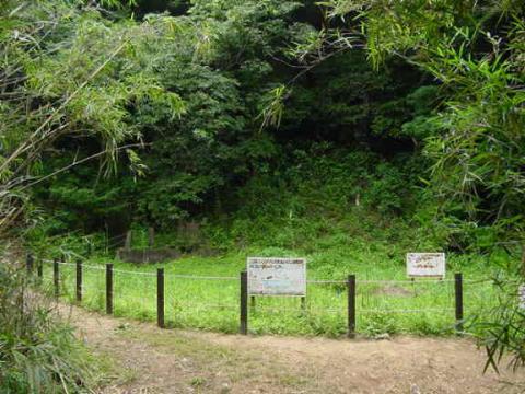 丹沢・葛葉川本谷奇跡の今日一日
