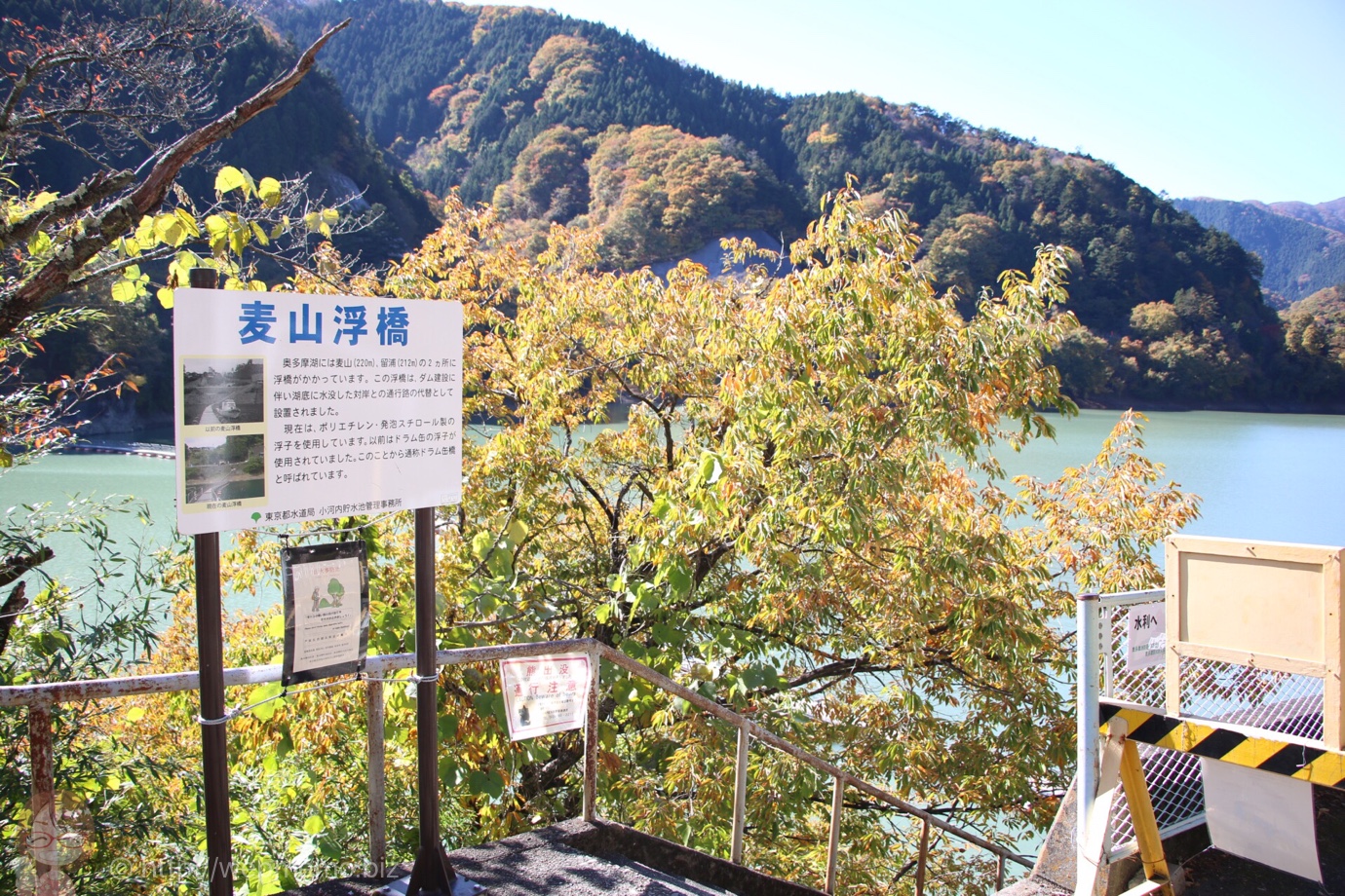奥多摩湖・麦山浮橋 むぎやまのうきはし図解ひとり登山