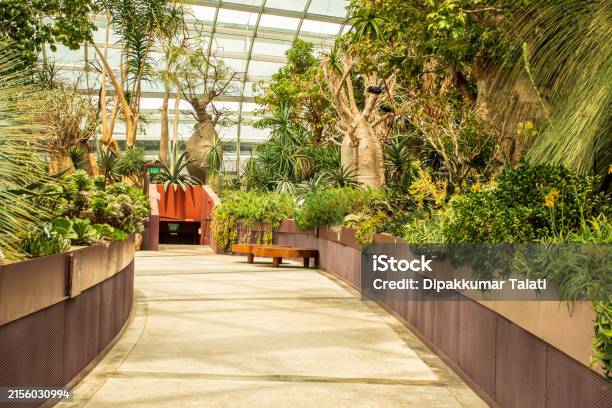 駅&橋&商業施設!ｸﾛｽﾚｲﾙﾌﾟﾚｲｽ Crossrail Place のﾙｰﾌｶﾞｰﾃﾞﾝ①行き方 :