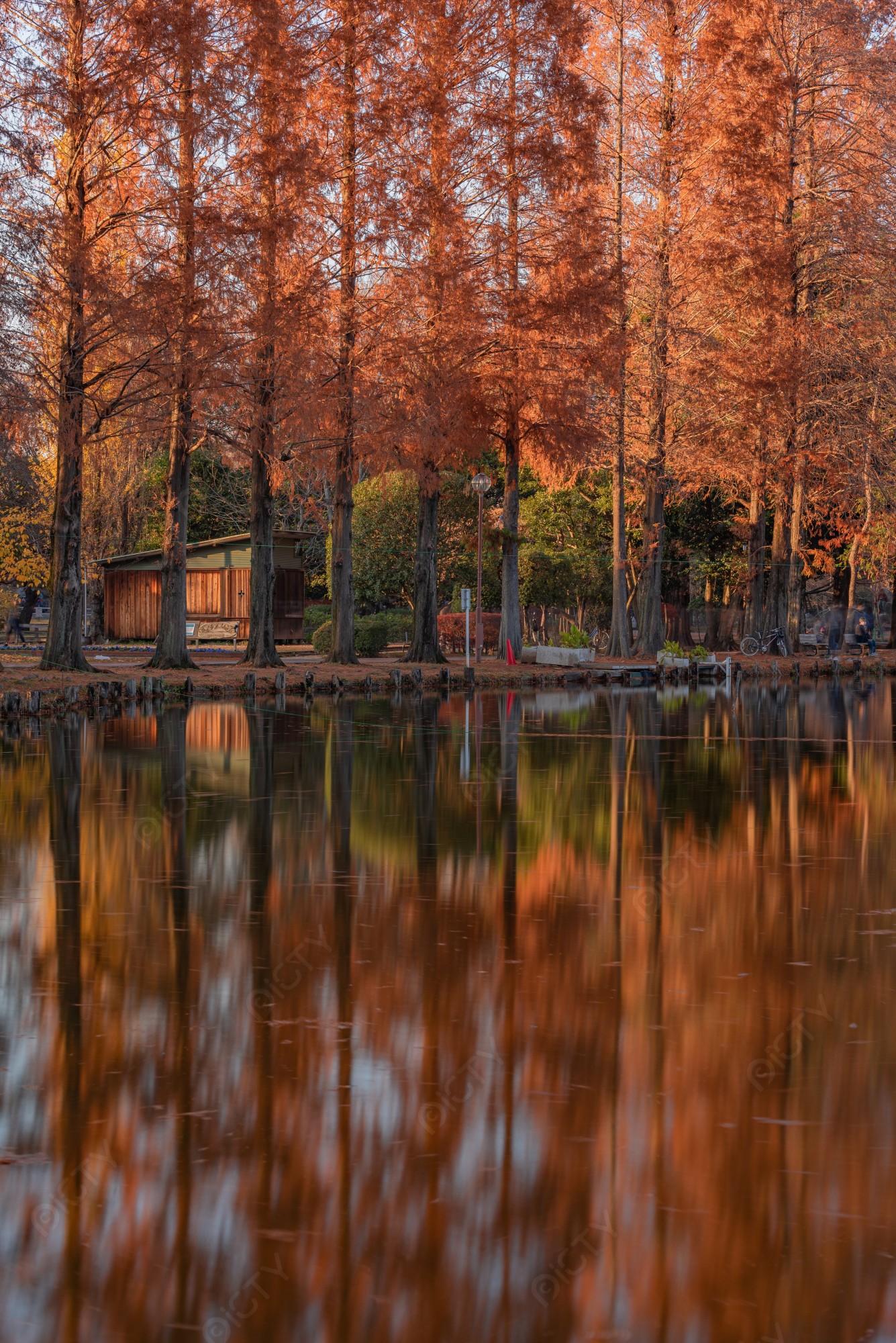 埼玉県の人気・撮影スポット関東風景紀行-絶景を撮影しに行こう-Breathtaking Scenery Around Tokyo
