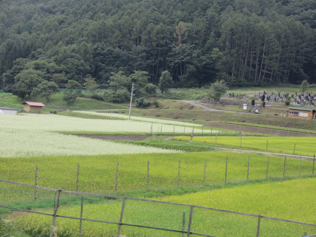 蓼科牧場ゴンドラリフト シャトルビーナス クチコミ・アクセス・周辺情報白樺湖・蓼科・車山 - フォートラベル