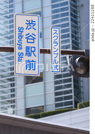 中級 渋谷スクランブル交差点 250207