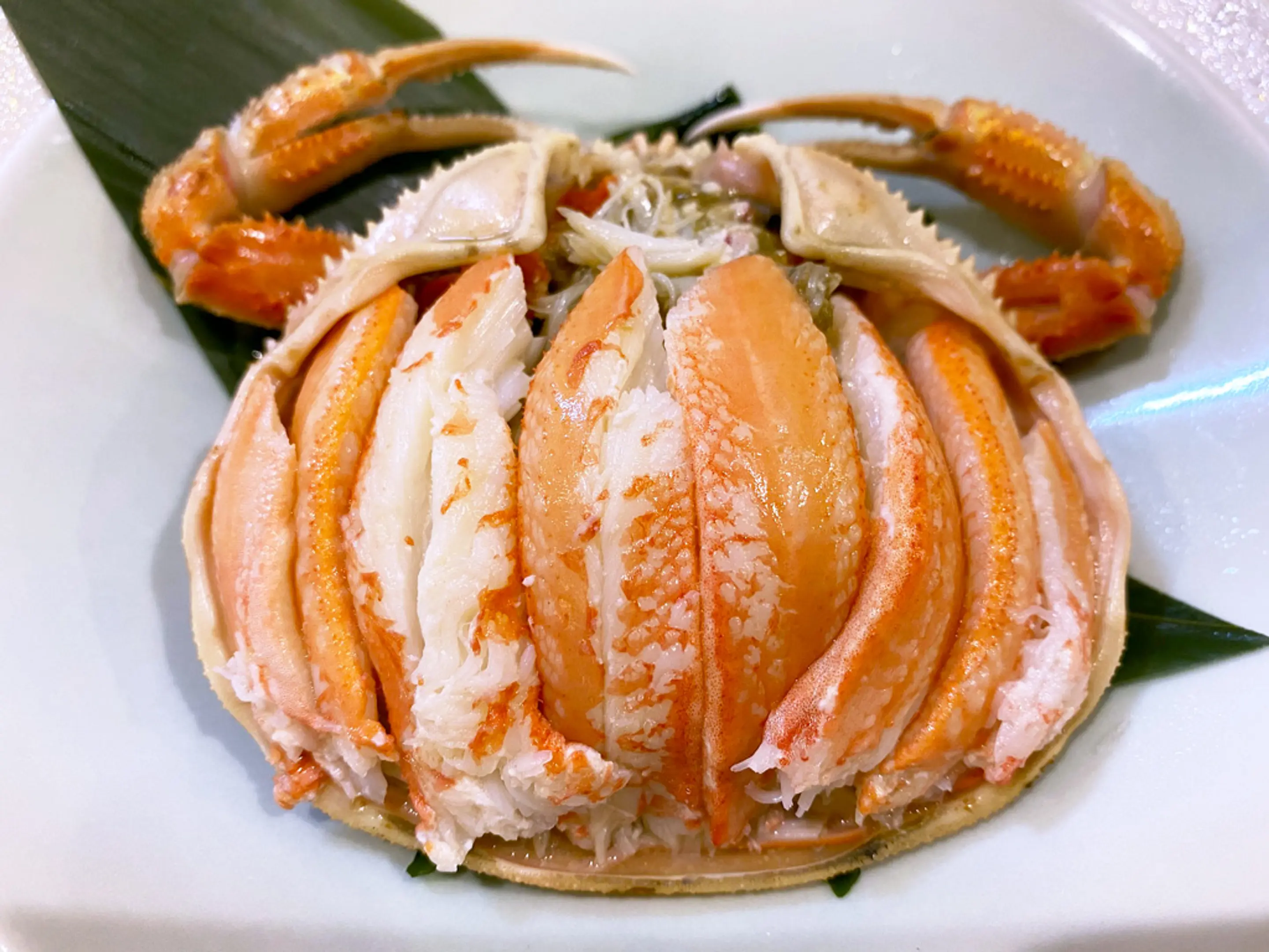 公式 海の京都 kyoto