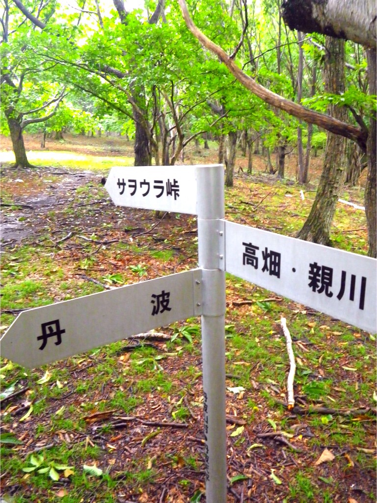 Oregon Trail Plus Alpha -