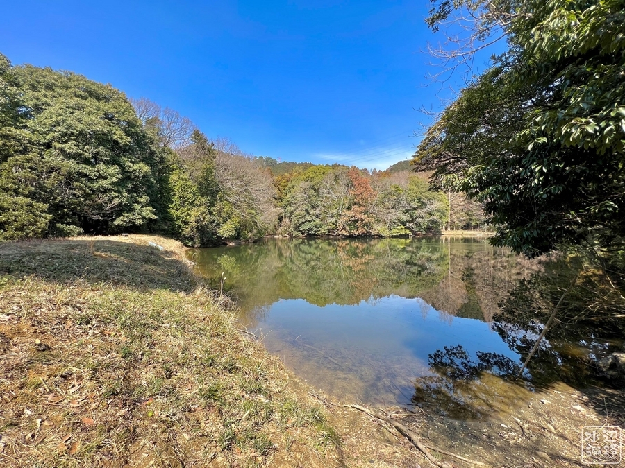 玄界灘の落とし込み釣りでヒラマサにブリ族が一人平均19尾と絶好釣 福岡・宗像市TSURINEWS