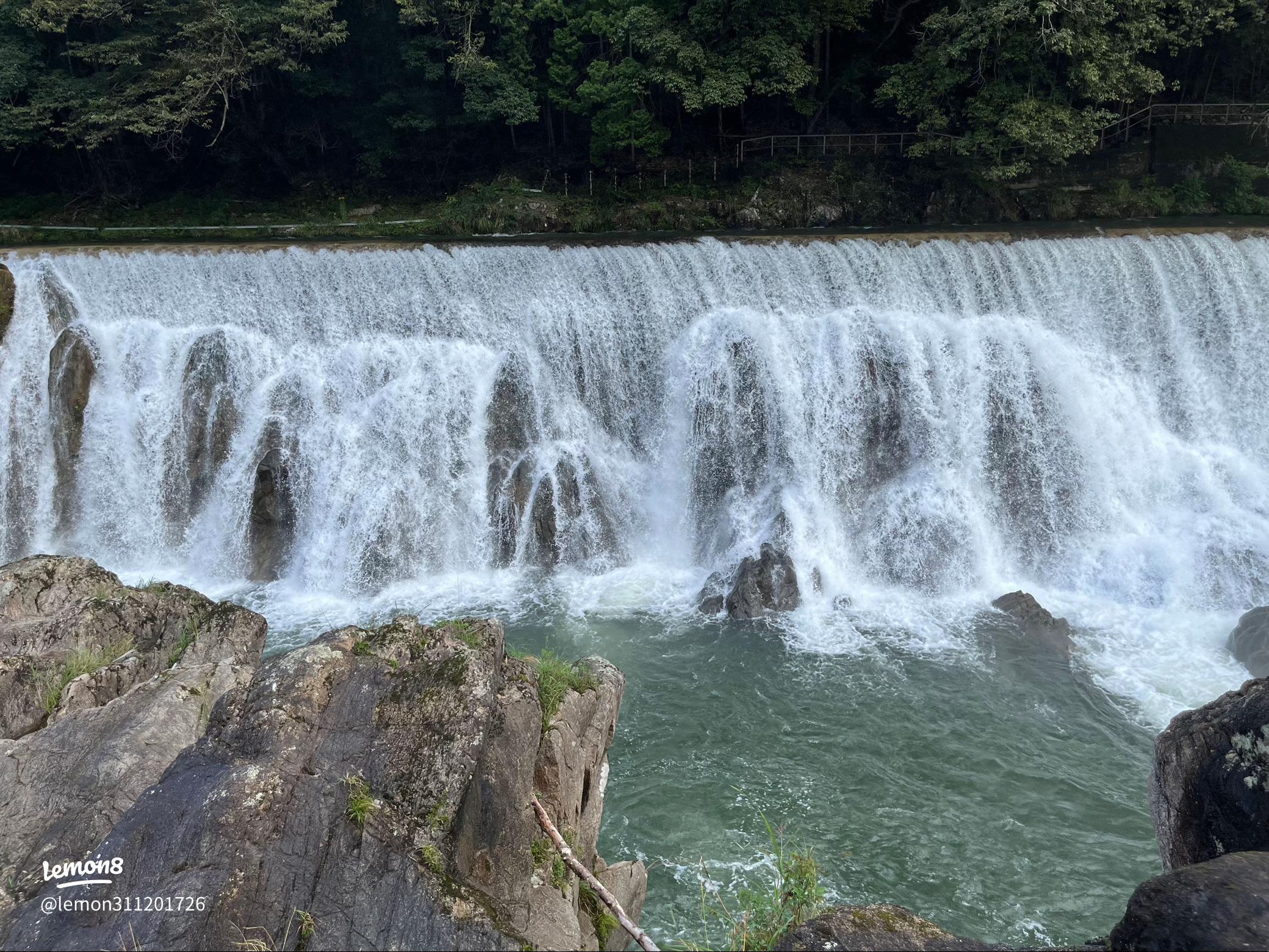 釣り堀～奥三河のナイアガラの滝～花の木公園 公式サイト