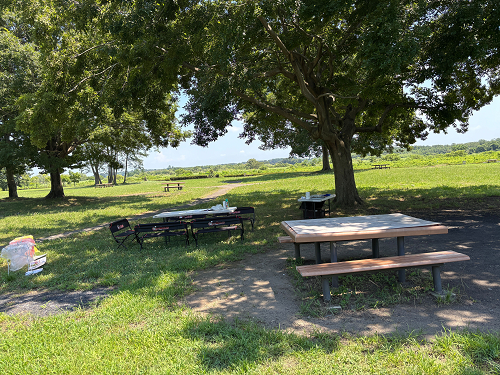 鬼怒川緑地運動公園のクチコミ 口コミ ・写真宇都宮市・バーベキュー場