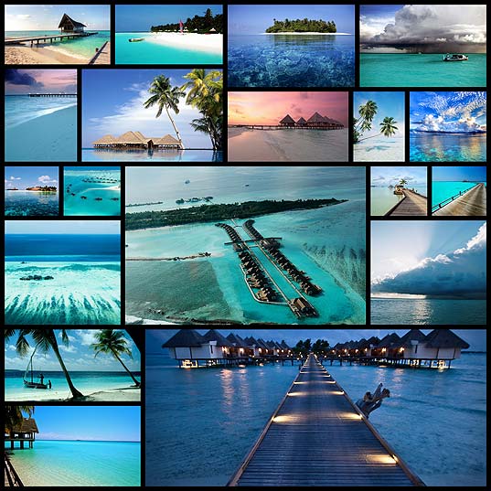 フリー写真モルディブの海とアオサギでアハ体験GAHAG著作権フリー写真・イラスト素材集 - GAHAG著作権フリー写真・イラスト素材集