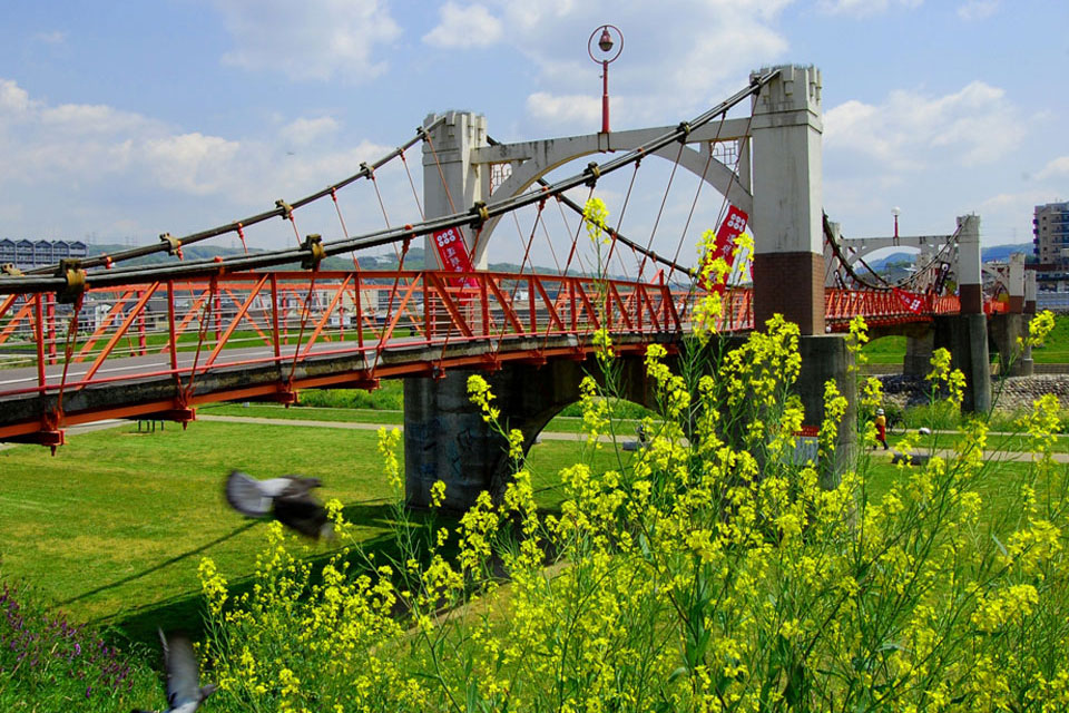 爽快！高さ50メートル 巨大つり橋「星のブランコ」毎日新聞