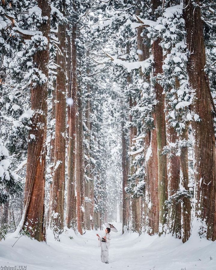 長野県の婚活デートプランナー婚プラ