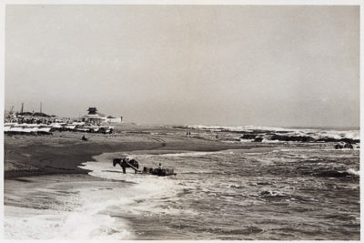 大洗おすすめ観光＆グルメスポット～現地スタッフ厳選 BEST16～楽天トラベル