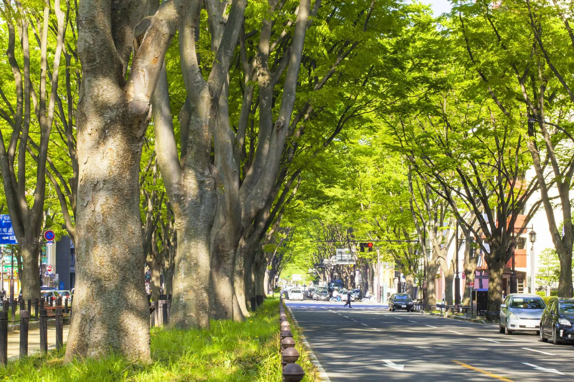 東日本大震災から12年でも復興は「道半ば」 住民の1割が犠牲になった宮城県名取市・閖上からScience Portal -科学技術の最新情報サイト「サイエンスポータル」