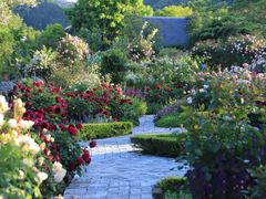 ローザンベリー・マナーローザンベリー多和田