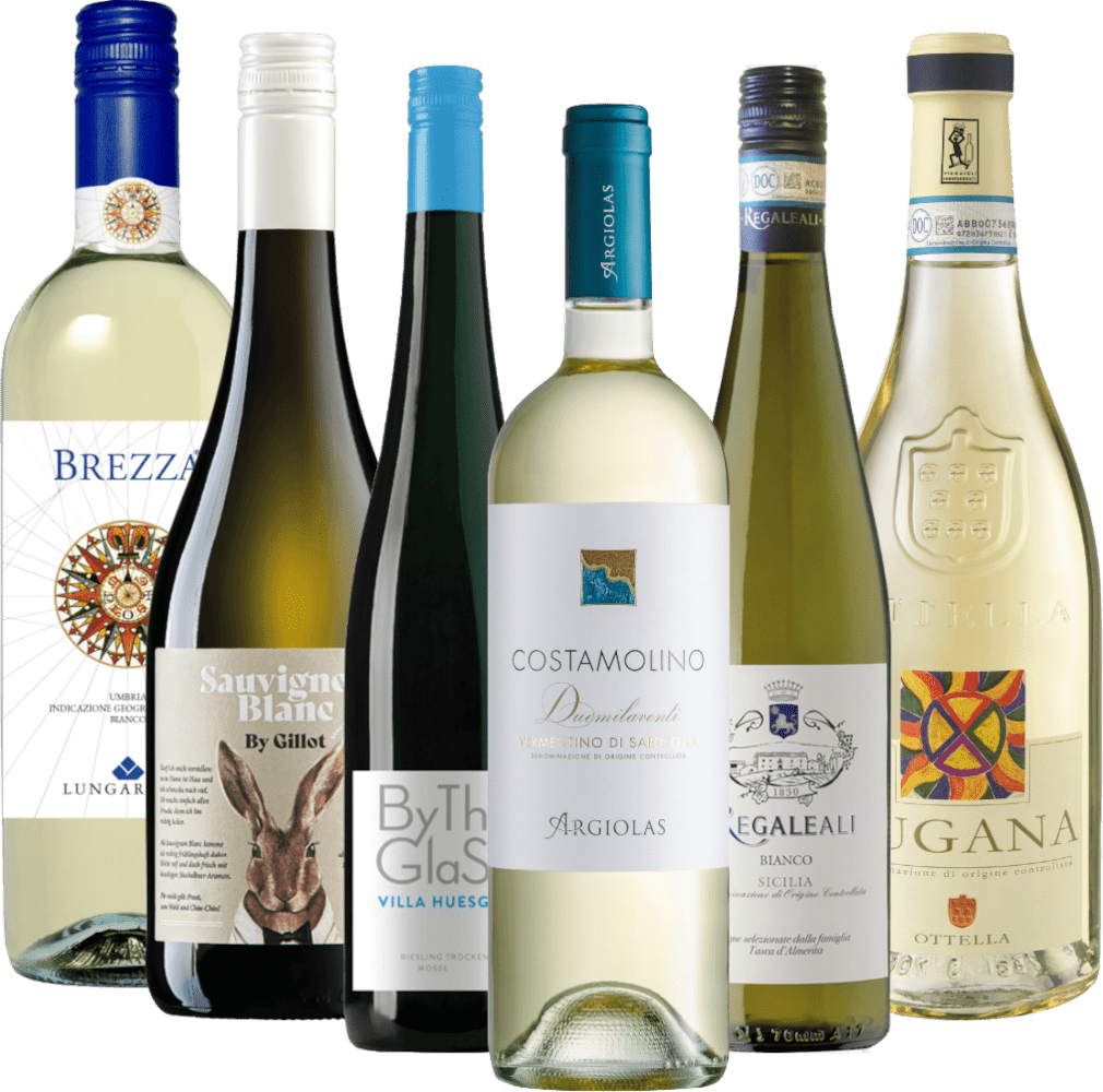 ミゲル・トーレスワイナリー- Wikipedia