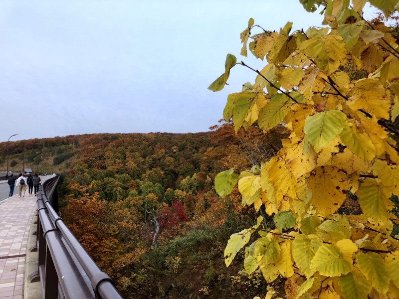 青森縣超震撼紅葉景點 城倉大橋：交通方式& 一日遊行程安排建議 BringYou