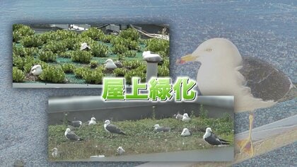 上野の不忍池に「オオワシ」が暮らすって、ご存知ですか : 旅プラスの日記
