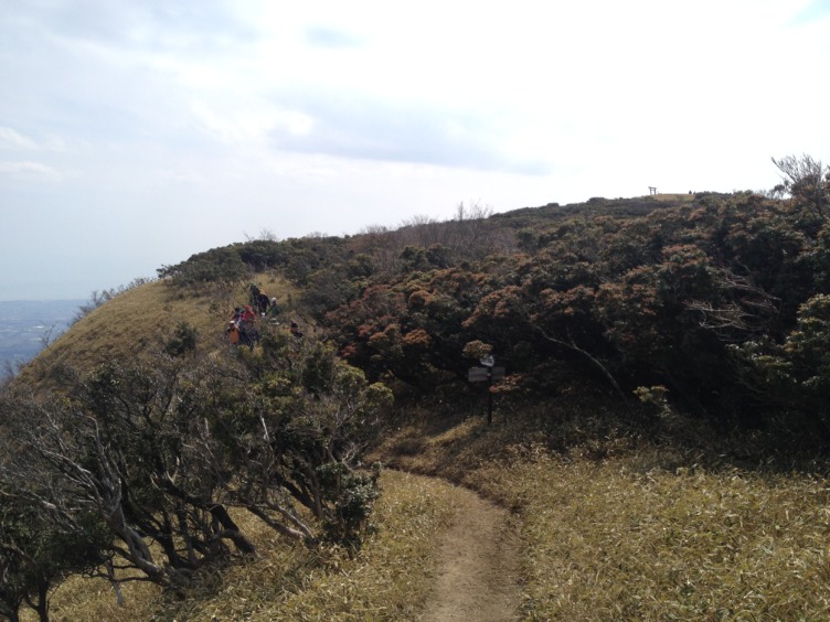 入道ヶ岳の登山ガイドと椿大神社の魅力