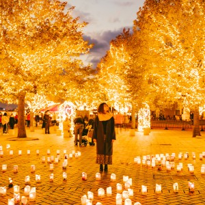 北九州市大連友好記念館 旧国際友好記念図書館観光スポット公式 福岡県の観光 旅行情報サイト「クロスロードふくおか」