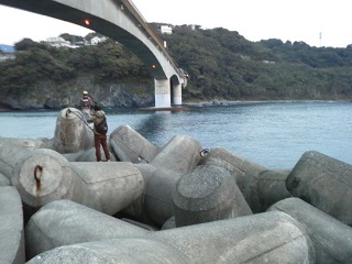 真鶴 琴ヶ浜で釣ろうかと: 別冊シーガルハウス旬をおいしく、採・獲・摂る！