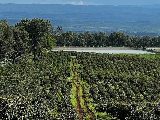 アフリカ農業の変革！Complete Farmerの革命的な取り組み横山 凡 @