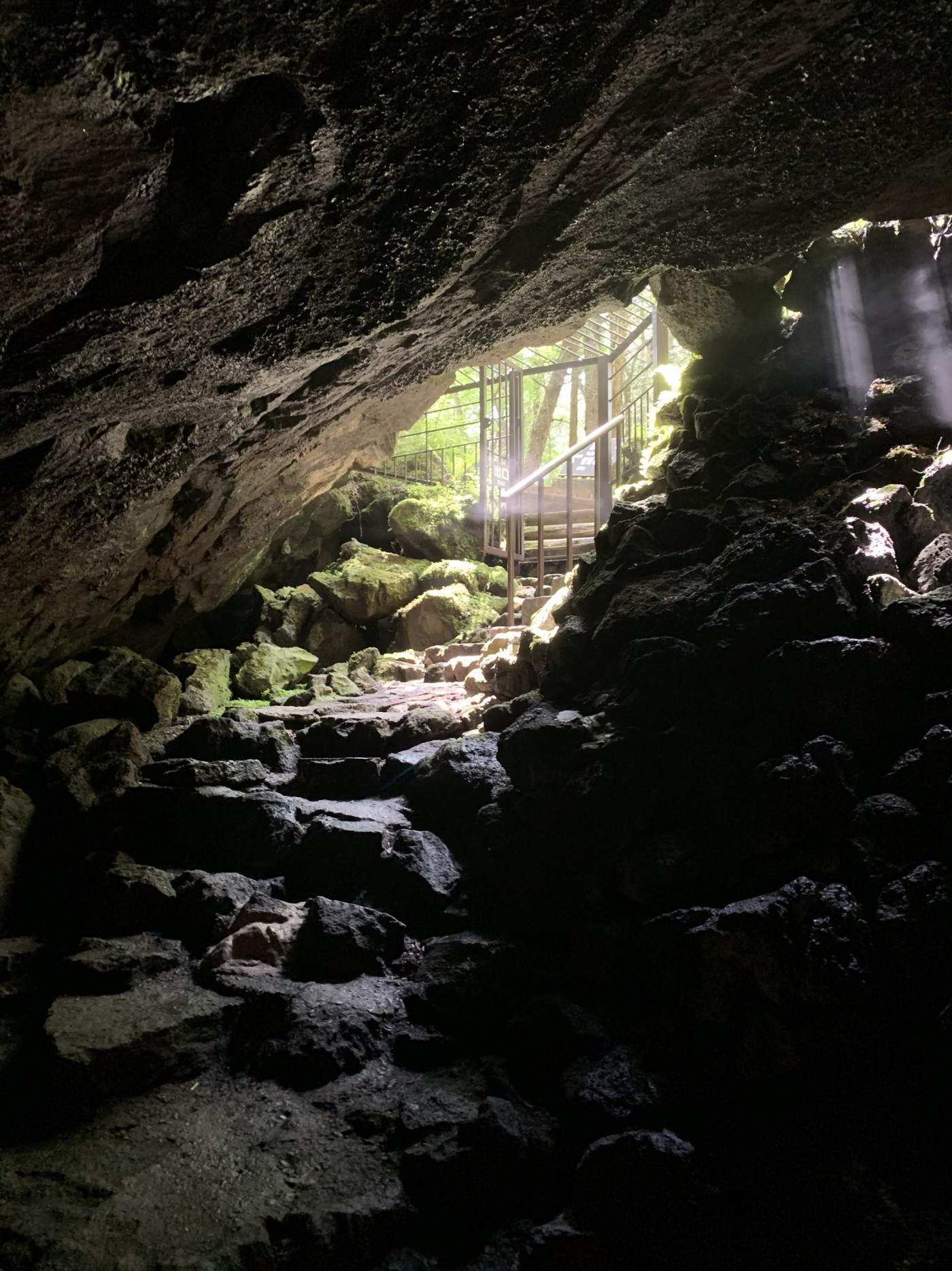 富士緑の休暇村発！富士山の大自然を楽しむハイキングツアー - 富士緑の休暇村