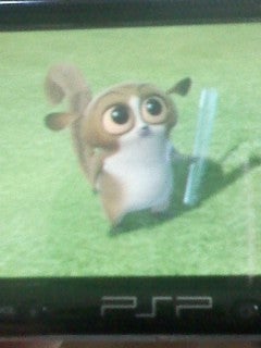 マダガスカル モート ぬいぐるみ ユニバーサル