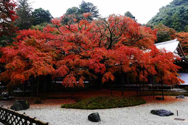 糸島 雷山の紅葉 2021見頃は？『雷山千如寺大悲王院』美しい堂内は一見の価値あり福岡たのしか