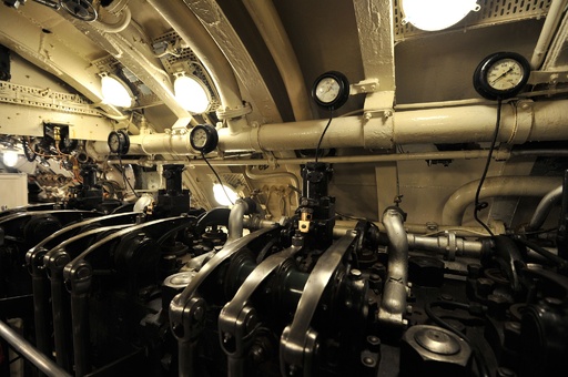 公式 東京海洋大学マリンサイエンスミュージアム on X: 