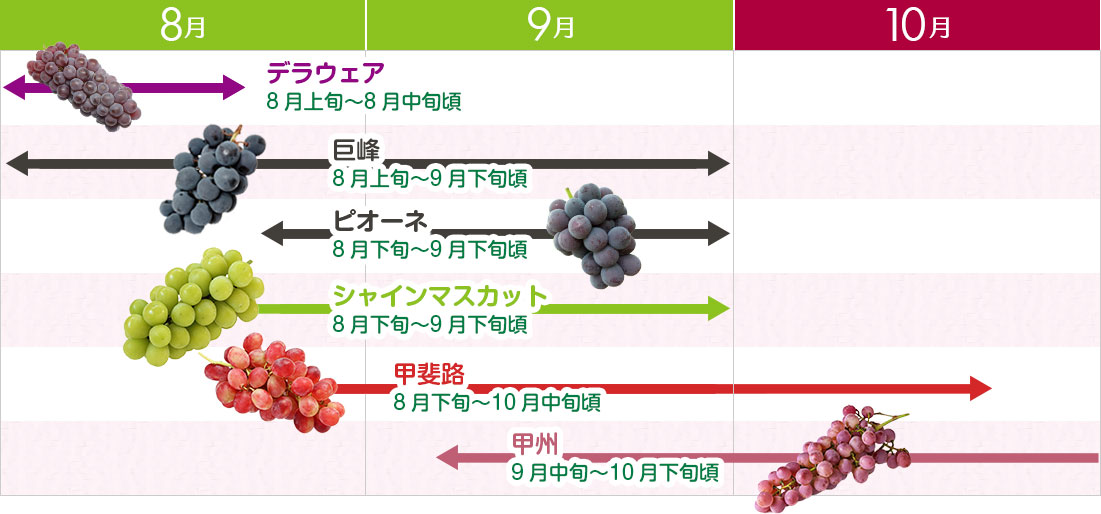 2023年最新 勝沼で日帰りドライブデート！ぶどう狩り、ワイナリーを巡る旅へ楽天トラベル