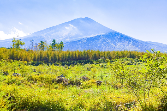 富士山の麓｢青木ヶ原樹海｣は心霊スポットなんかじゃなかった！ 神秘的な原生林とクールすぎる氷穴に挑む!!Do well by doinggood.jp