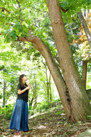 TRAILS トレイルズトレイルカルチャー・ウェブマガジン