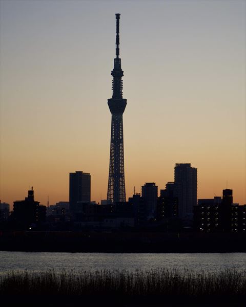 シンボルタワー「東京スカイツリー」のおすすめ撮影スポット10選icotto イコット