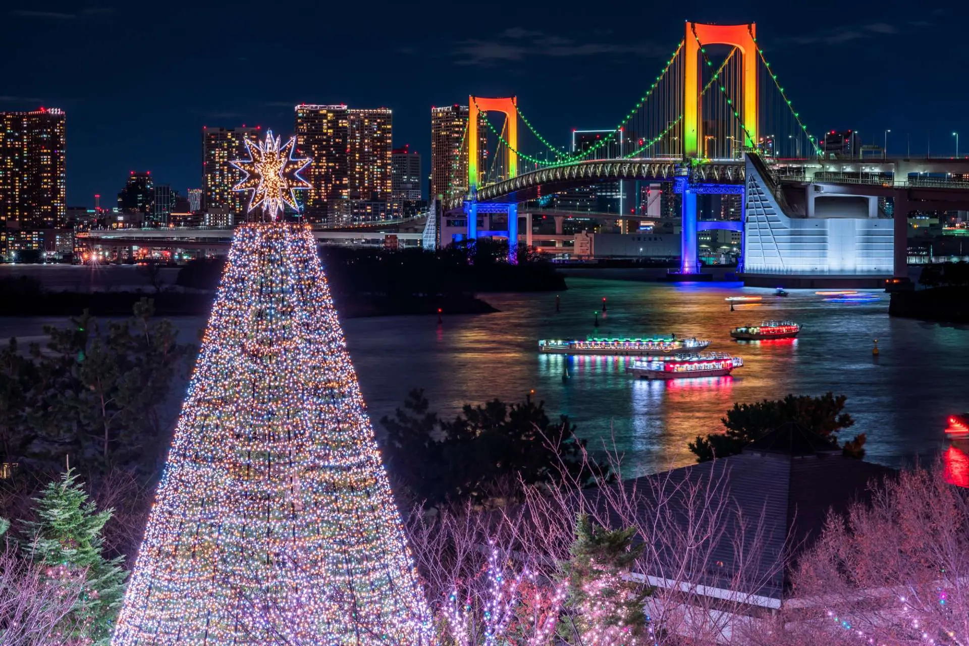 お台場イルミネーション“YAKEI”日本期間限定文化旅行ガイド深い体験と地域活動情報プラットフォーム - iwafu