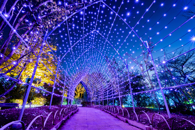 保存版 栃木県の夜景ドライブデートならここ！関東在住の筆者おすすめの15スポット 名所・穴場・公園・工場夜景など アニーお祝い体験マガジン