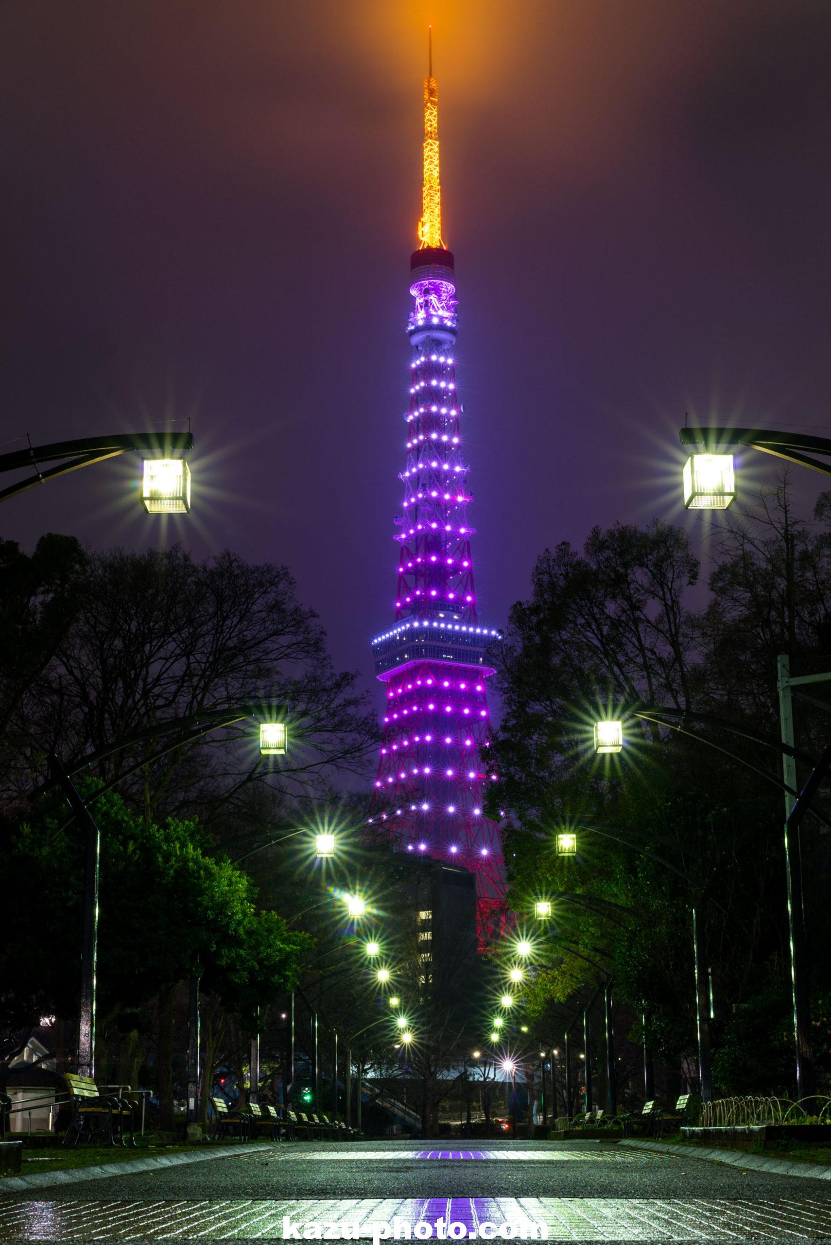 東京タワー百景」 定番スポットからライトアップの絶景まで、おすすめ撮影ポイントを総まとめ港区観光協会VISIT MINATO CITY -東京都港区の観光情報公式サイト
