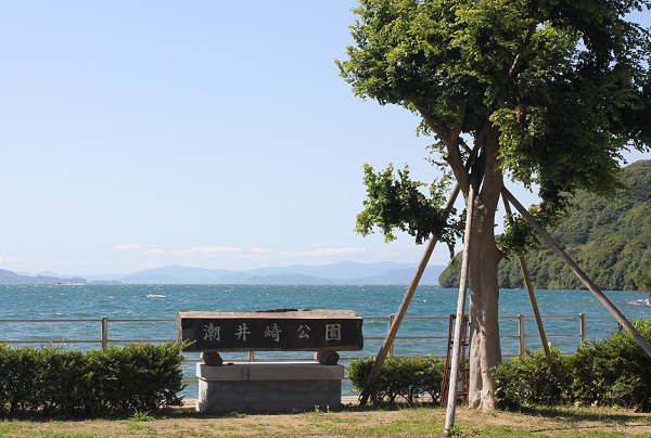 潮井DEマルシェEVENTシェルパMAGアウトドア＆登山専門店 シェルパ