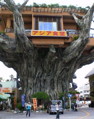 カフェ＆バーガジュマル旧店名 カフェ＆ダイニング ガジュマル-
