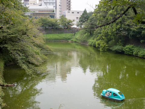 2025完全版 九段下駅周辺は治安悪い？5つの統計データを用いて徹底解説！ 賃貸物件住まい百科オンライン