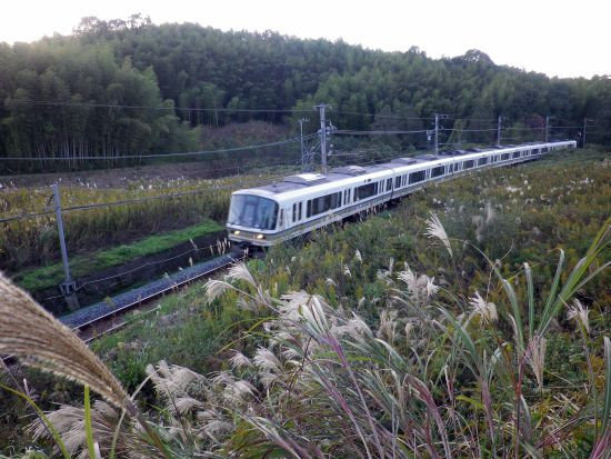 兵庫県 砥峰高原一面ススキの草原が広がる絶景の高原写真スポット！撮影した写真の紹介、 アクセス情報や撮影ポイントなど!- 写真や映像で紹介する 関西・近畿のカメラ・観光スポット