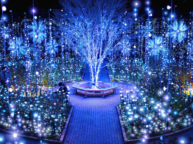 イルミネーションランキング1位「あしかがフラワーパーク 光の花の庭」の見どころ・2024～2025年の期間・バスツアー情報高速バス・夜行バス・バスツアーの旅行・観光メディアバスとりっぷ