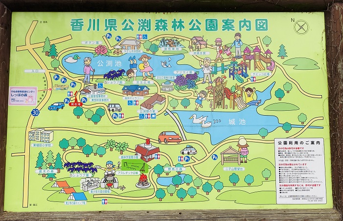 桜淵 愛知県民の森 : 色即是空68