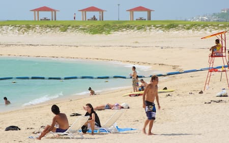 那覇からバスで美らSUNビーチへ行ってみた① まずは「道の駅豊崎」へ行こう 行き方も- わたしの歩き方～お散歩日記