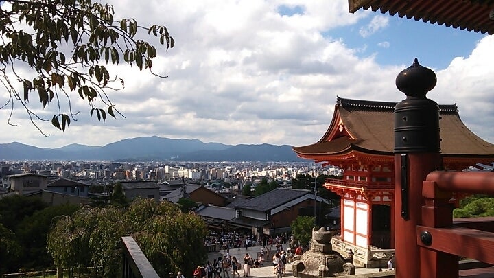 2025最新 清水寺の見どころ紹介！紅葉&桜のライトアップ情報も - 日本の観光メディアMATCHA