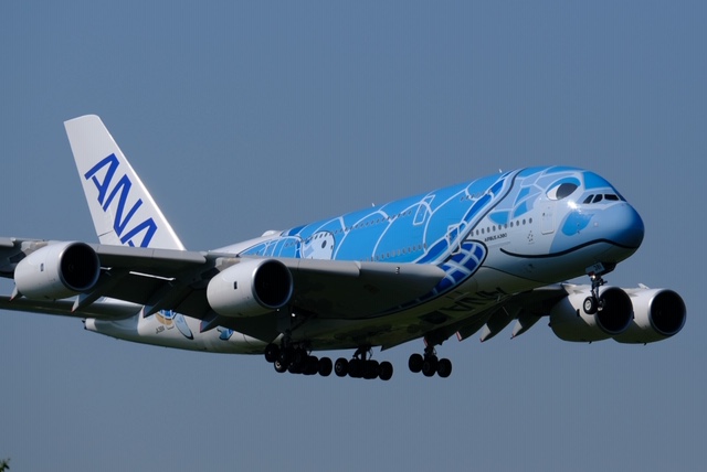 飛行機ビュースポット FEEL成田 成田市観光協会公式サイト