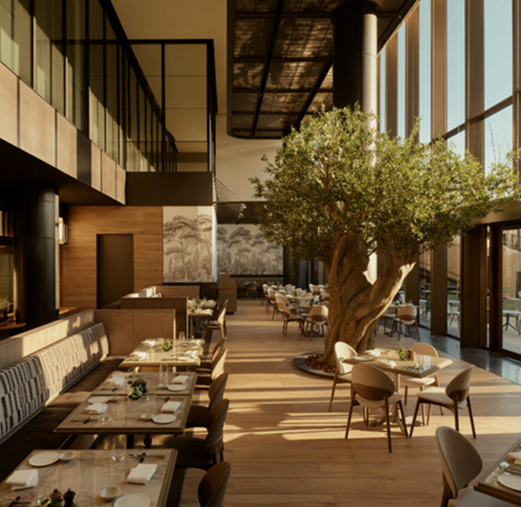 アマンレジデンス 東京」と日本初上陸ホテル「ジャヌ東京」が開業。虎ノ門・麻布台プロジェクトが推進する “ヒルズの未来系”F.M.J.magazineエフ・エム・ジェー マガジン