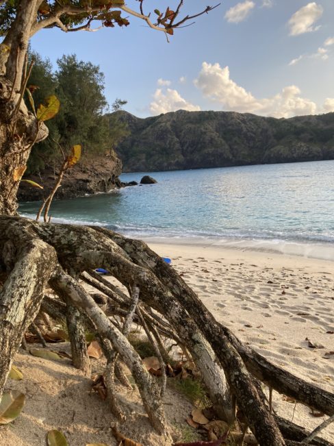 コペペ海岸 の周辺スポット・アクセス・口コミ - Prism