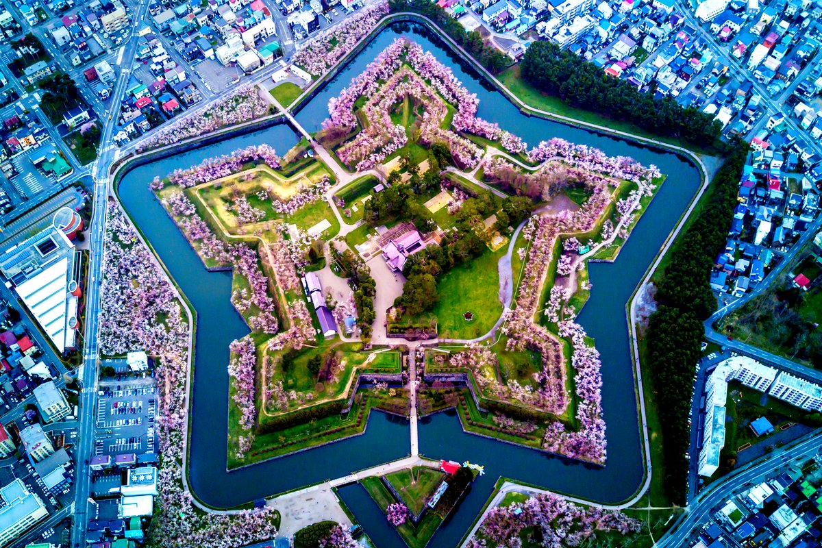 桜が満開になった五稜郭が絶景でした🌸 2025.04五稜郭桜cherryblossomjapan北海道函館東京カメラ部tokyocameraclubphotophoto_jpnnikonnikonphotography写真好きな人と繋がりたいカメラ好きな人と繋がりたい