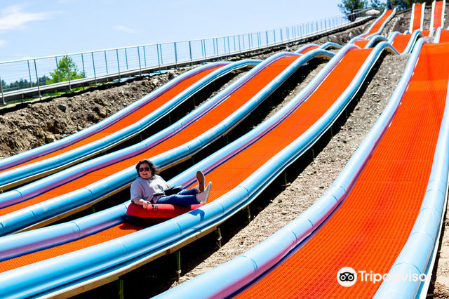 アート壁壁画マウントラッシュモア - TENSTICKERS