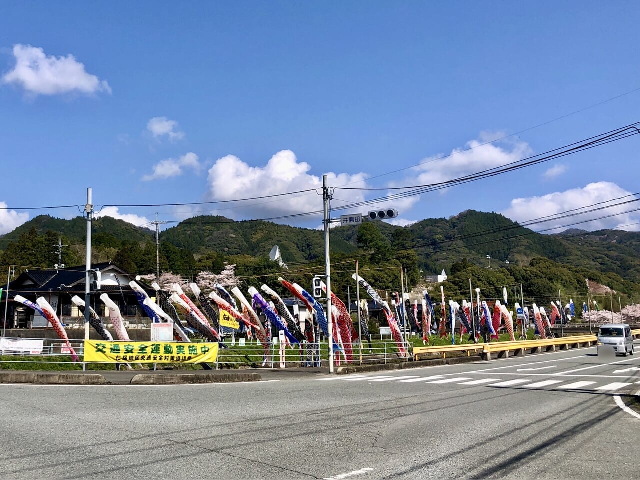 仁保川の鯉のぼりが青空いっぱいに🎏💙 リニューアルオープンした市場でお買い物して、 新鮮なサニーレタスでサラダうどんランチ🎵いちごもびわも美味しかった〜♡